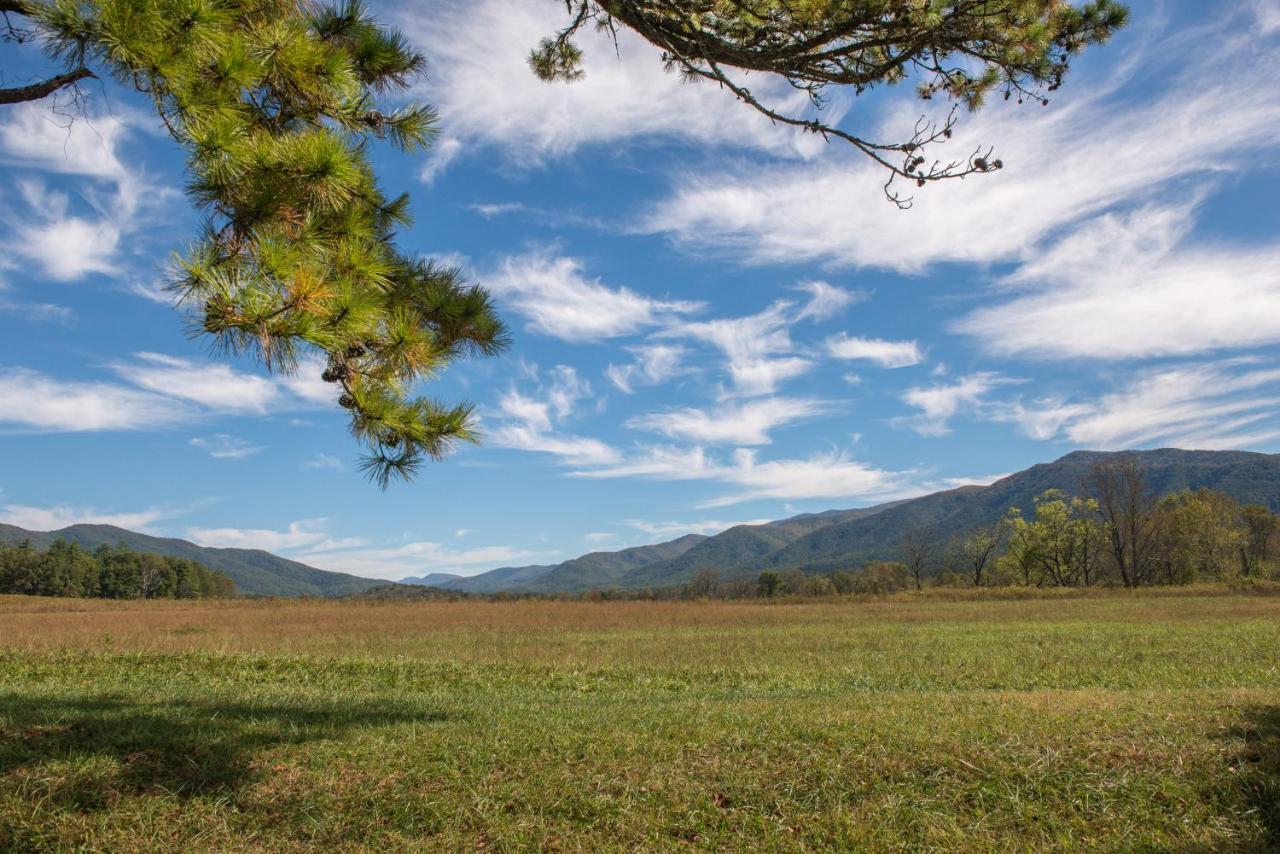 Papaw'S Bear Den Villa Pigeon Forge Buitenkant foto